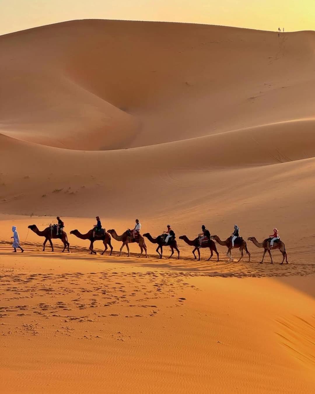 Hammadi Desert Camp Merzouga Exterior photo